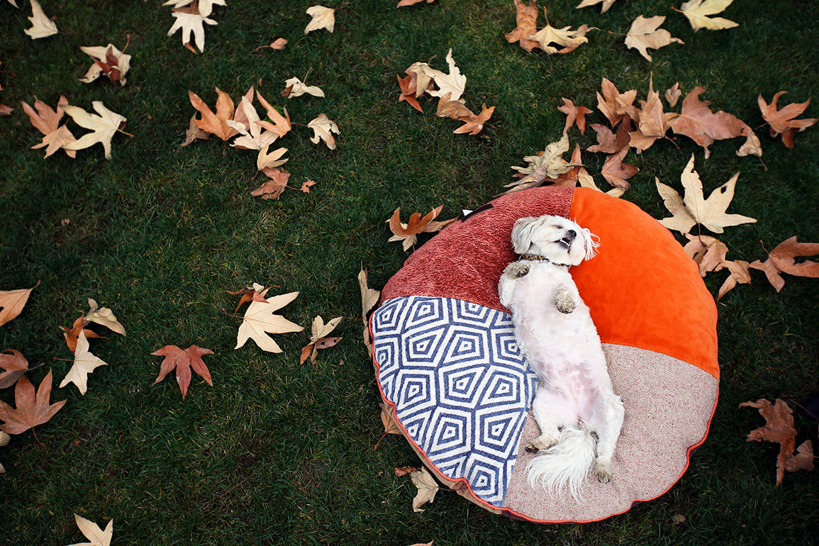 BFF Pet Pillow - Round - Natural 03
